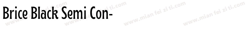 Brice Black Semi Con字体转换
